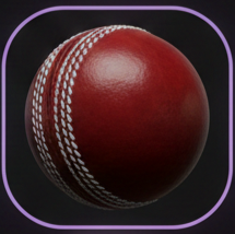 Cricket